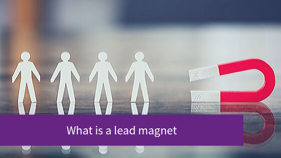 What is a lead magnet?