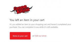 Example of cart abandonment email